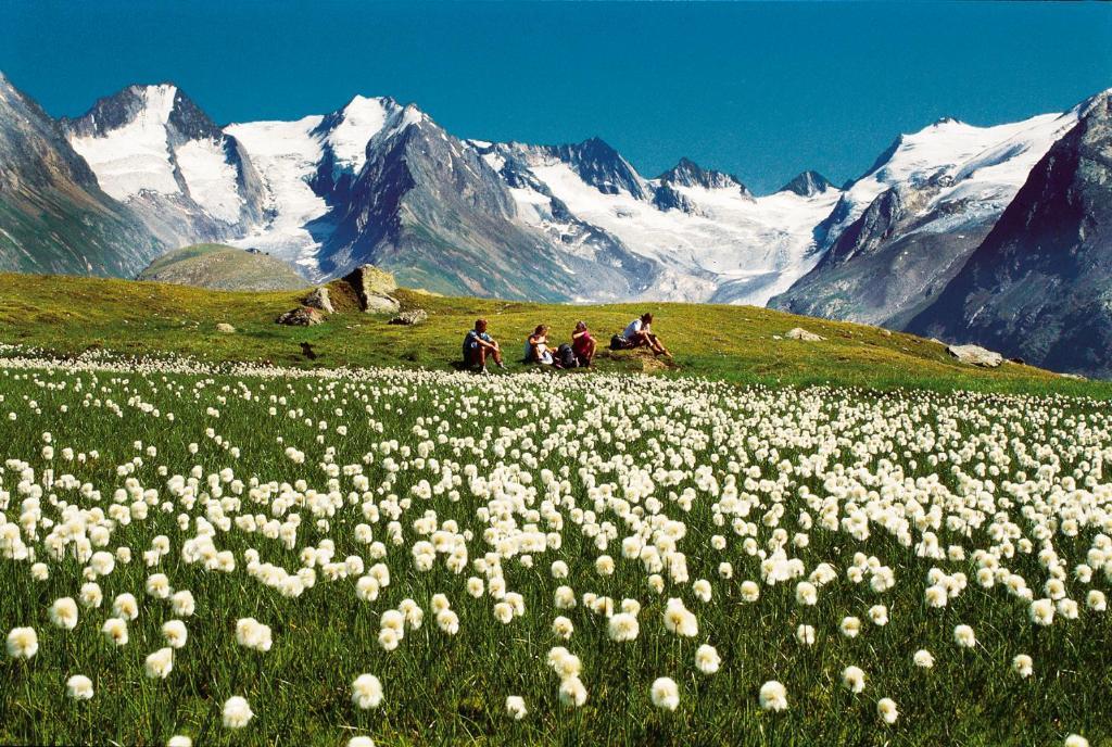 Villa Alpin Obergurgl Dış mekan fotoğraf